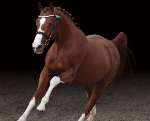 Hwen d’O Vezauziere