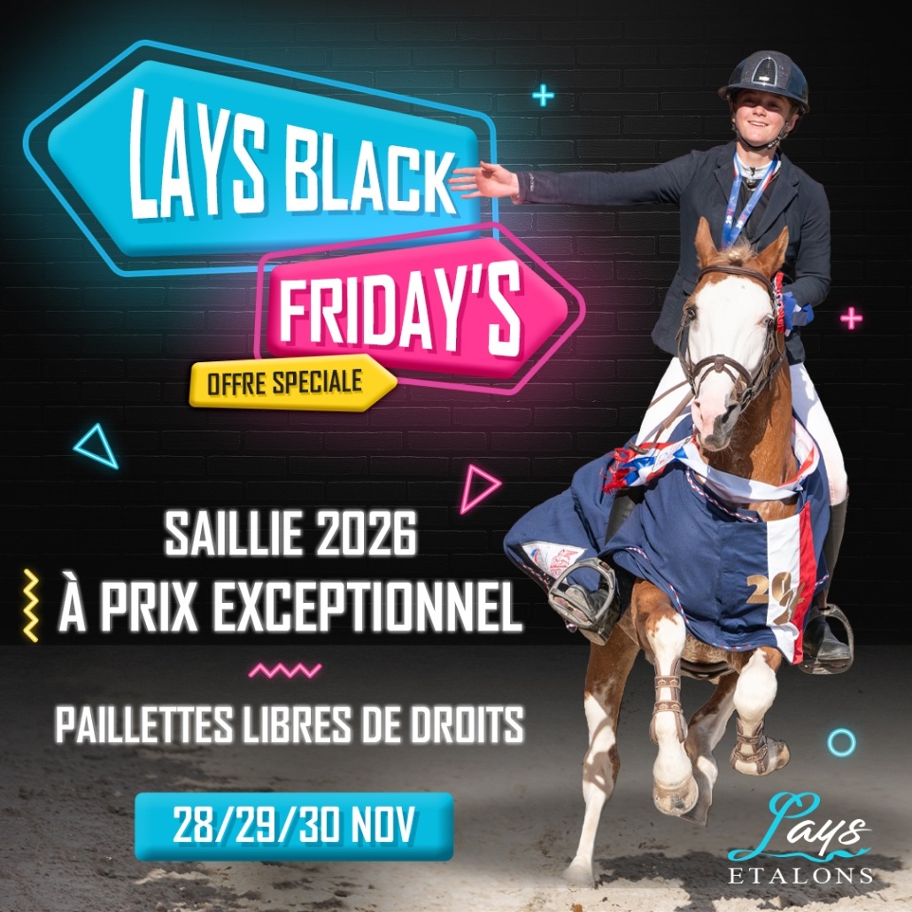 Lays black friday