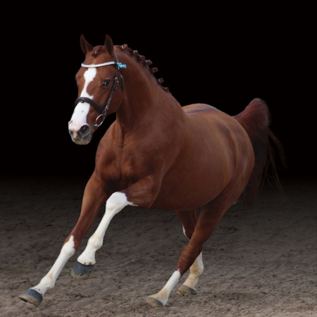 Hwen d'O vezauzière