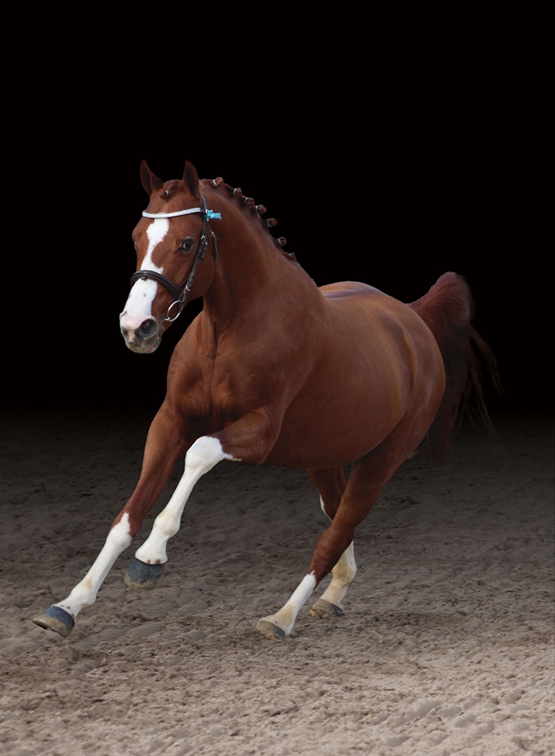 Hwen d'O vezauzière