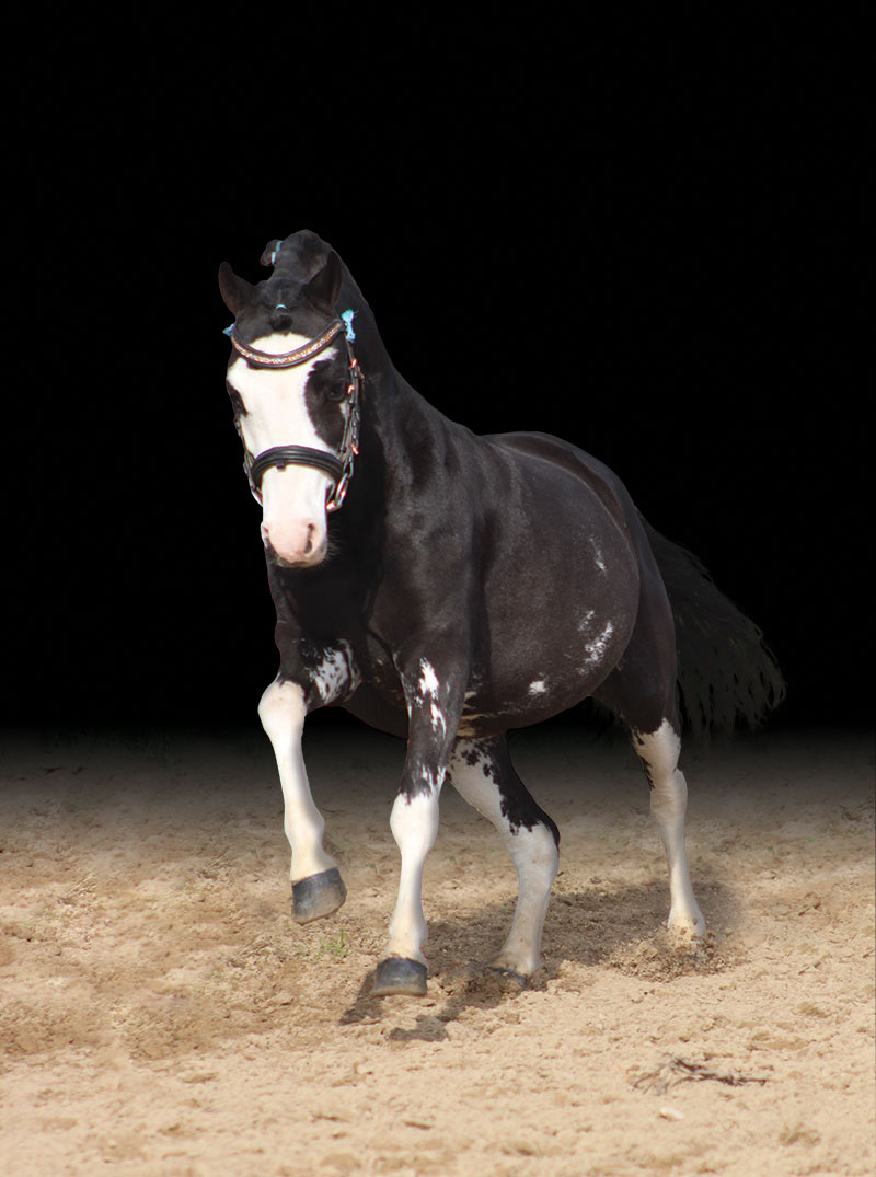 LAYS'VIZ JEEN KRYSTAL