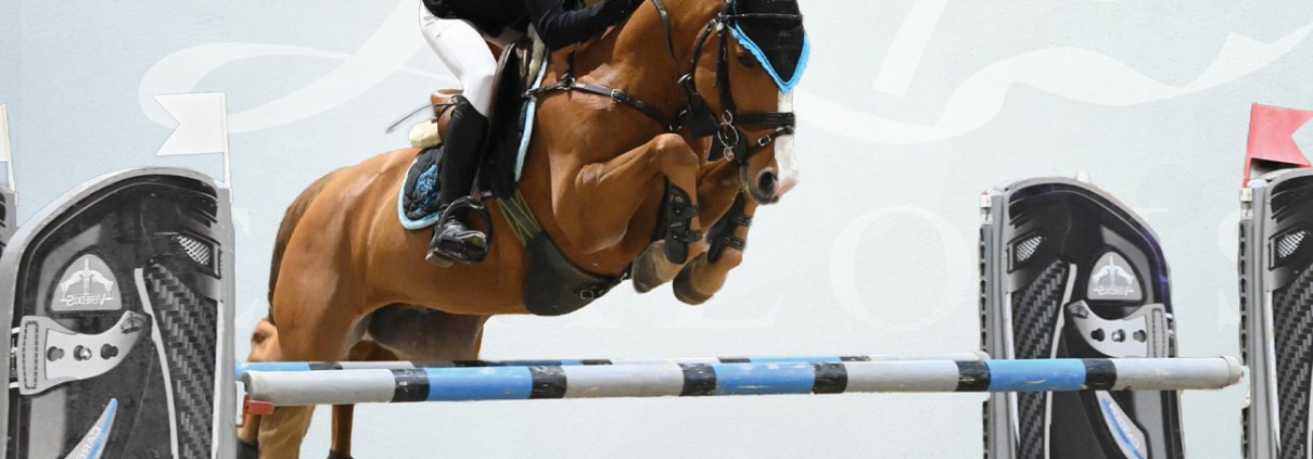 Donot Disturb of Lays