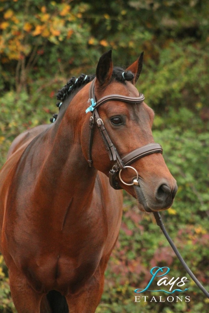 Fibonnaci de Thouaré