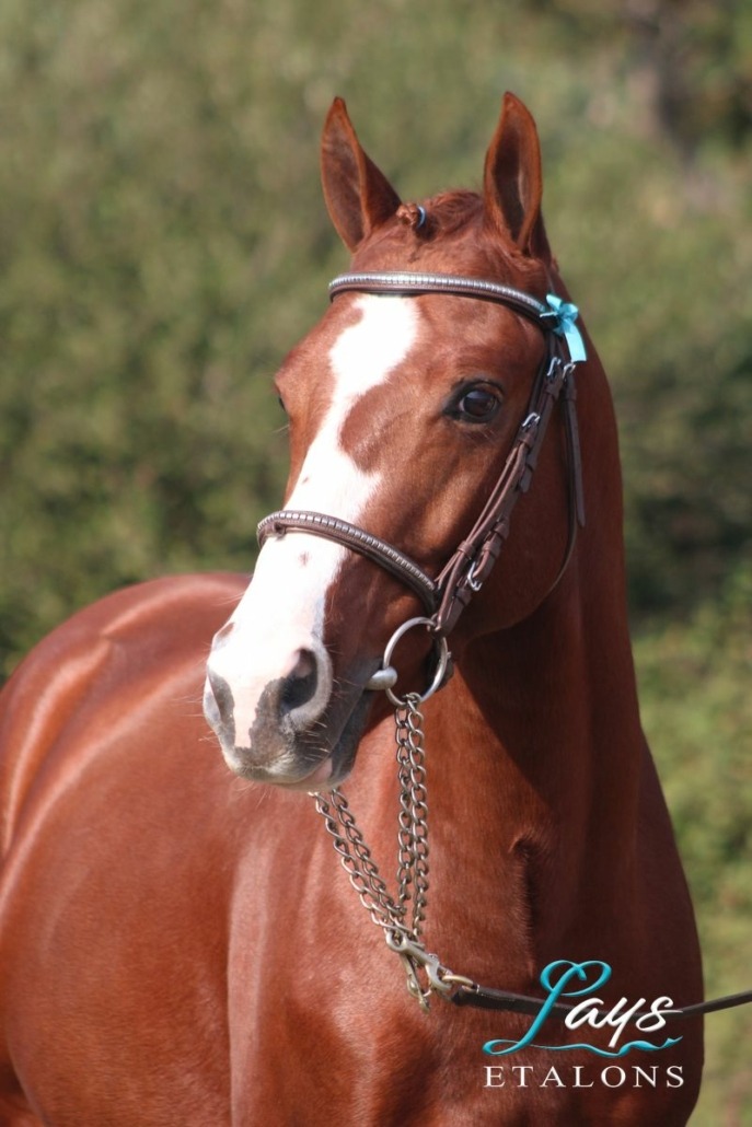 Hwen d’O Vézauzière