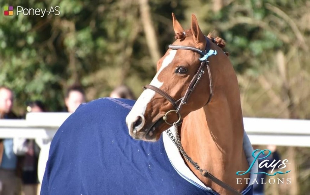 Hwen d’O Vézauzière