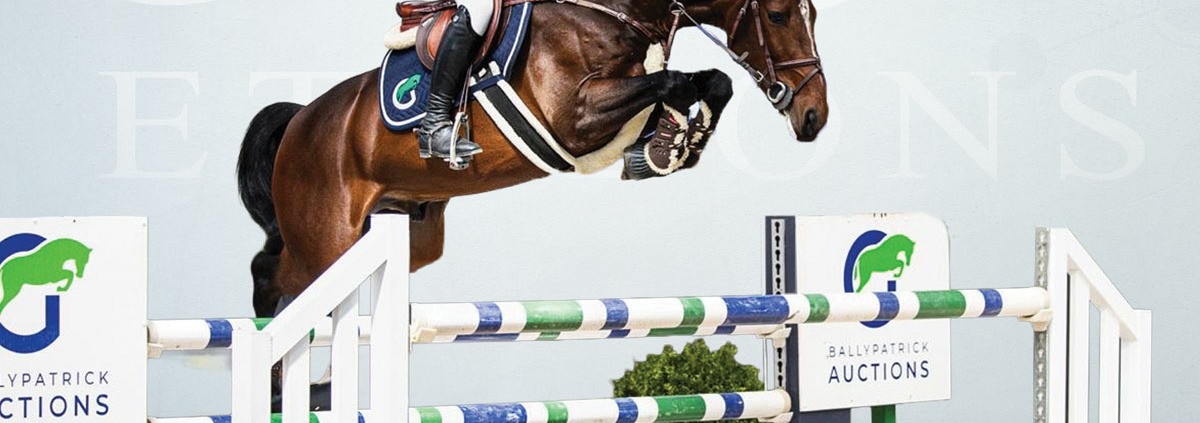 Ich Bin von Lays ailias BP Bon Jovi