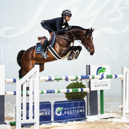 Ich Bin von Lays alias BP Bon Jovi