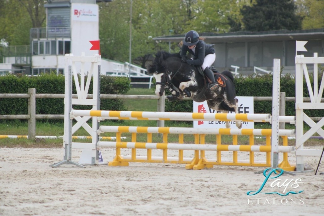 Iz perfect du Krystal