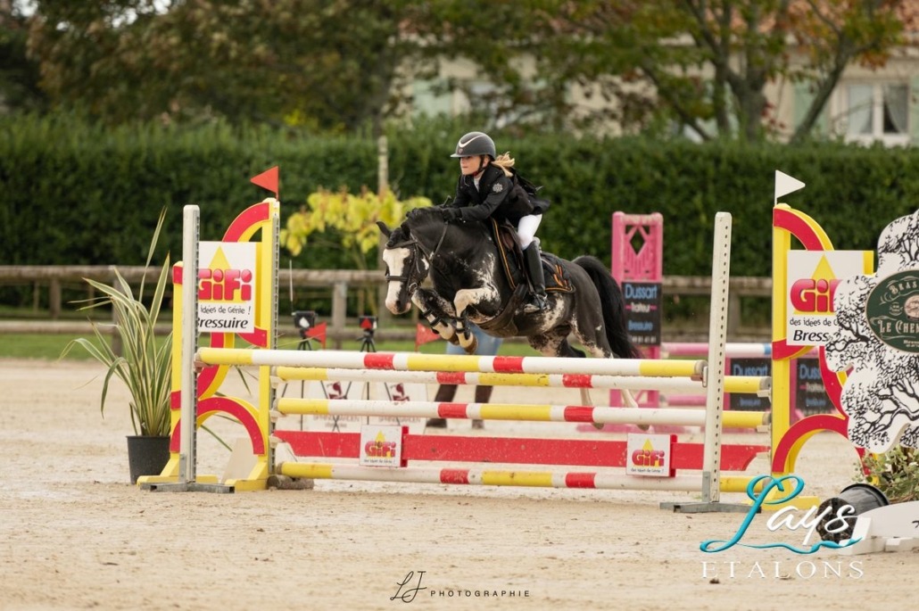 Iz perfect du Krystal