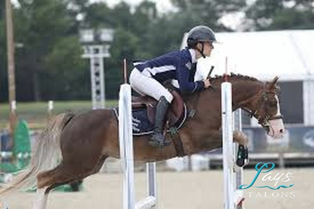 King Kong star d'été