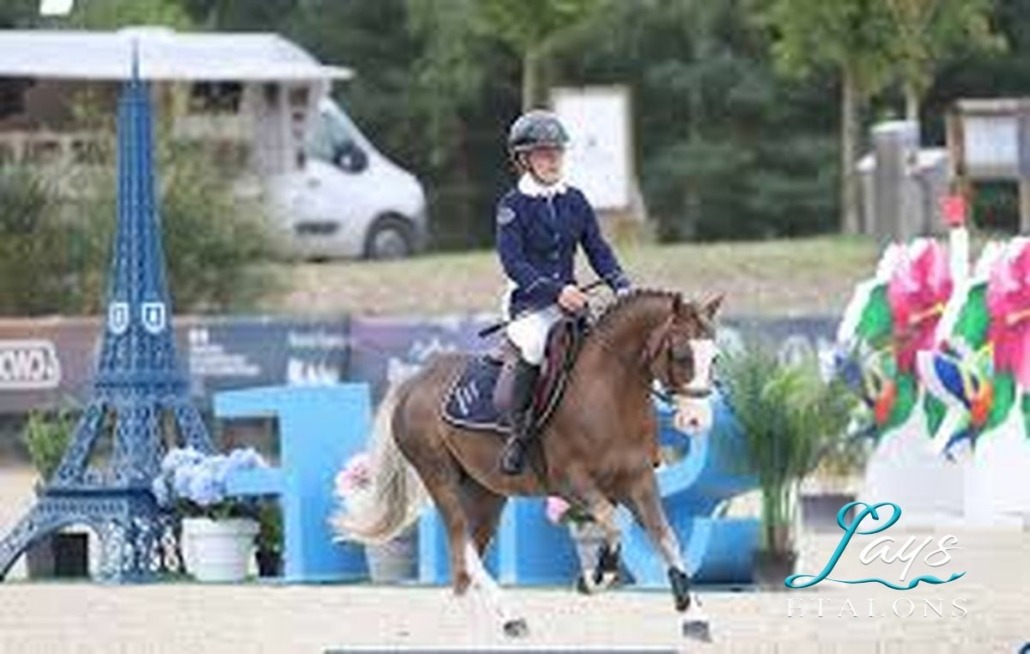 King Kong star d'été