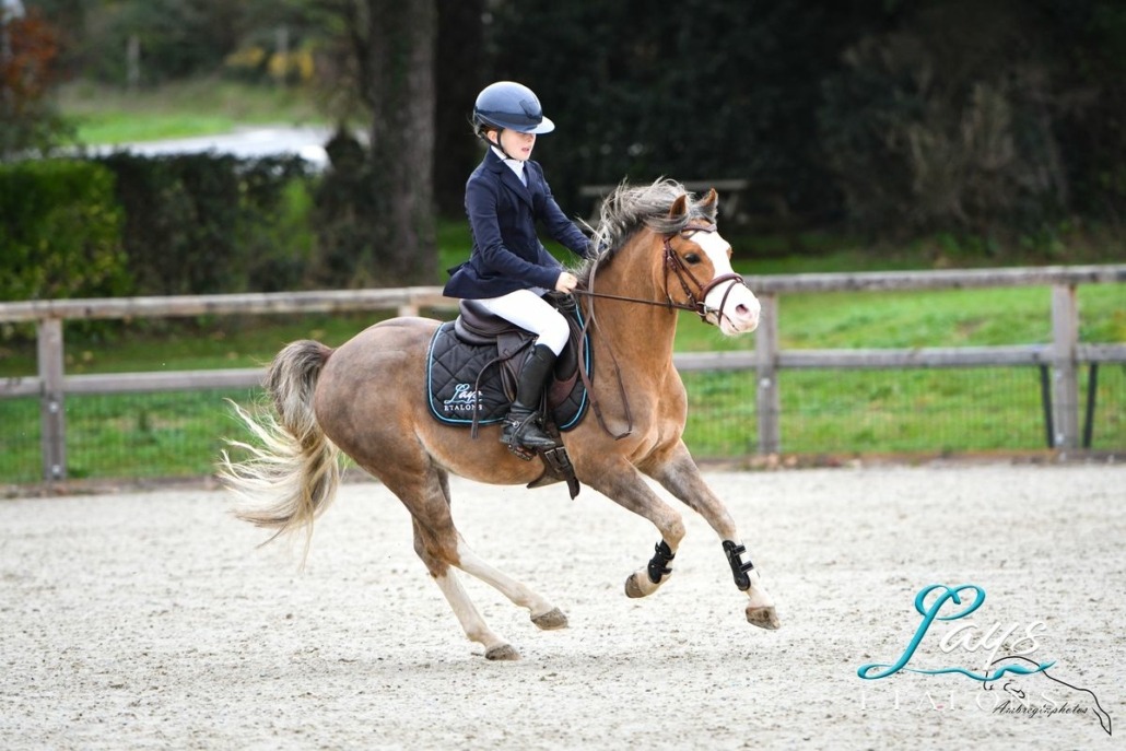 King Kong star d'été