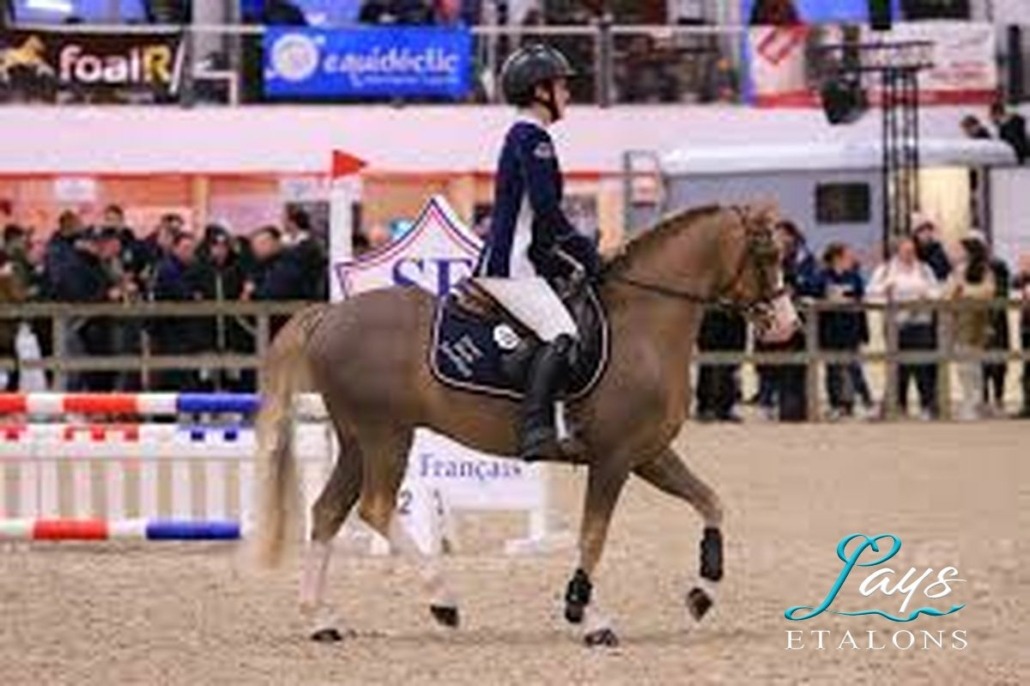 King Kong star d'été