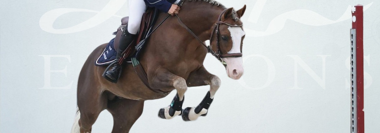 King Kong Star d’Eté