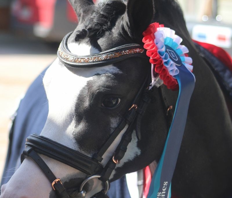 Lays’viz Jeen Krystal