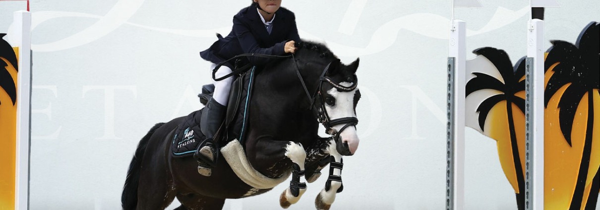 Lays’viz Jeen Krystal