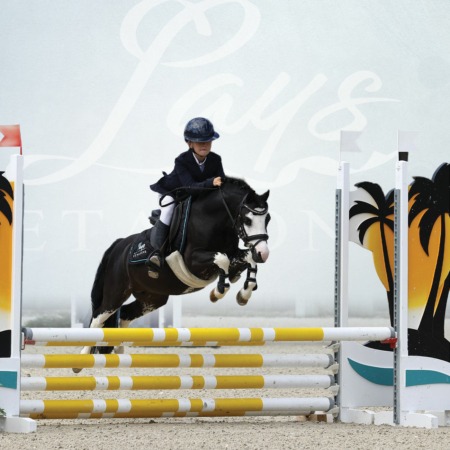 Lays’viz Jeen Krystal