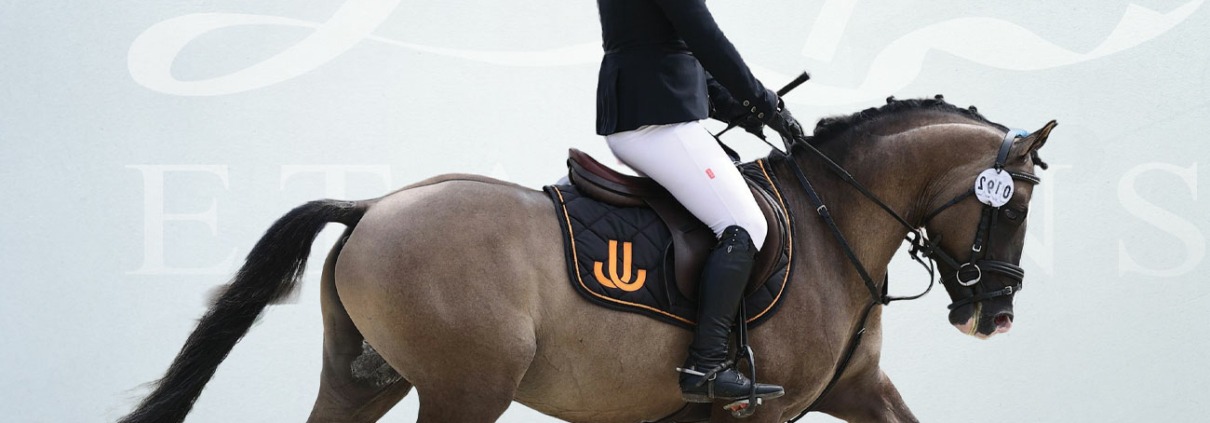 Light Star de Florys