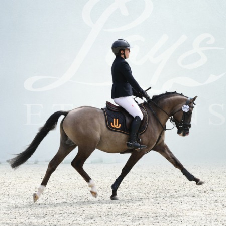 Light Star de Florys