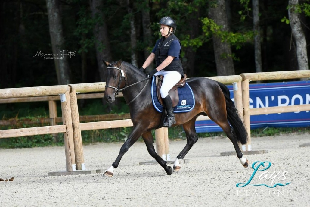 L’Ovni Star de Cisai