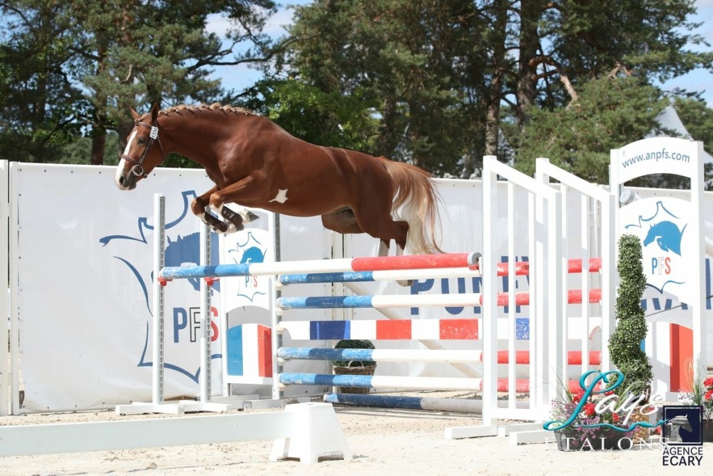 Magic Song d’Arezzo