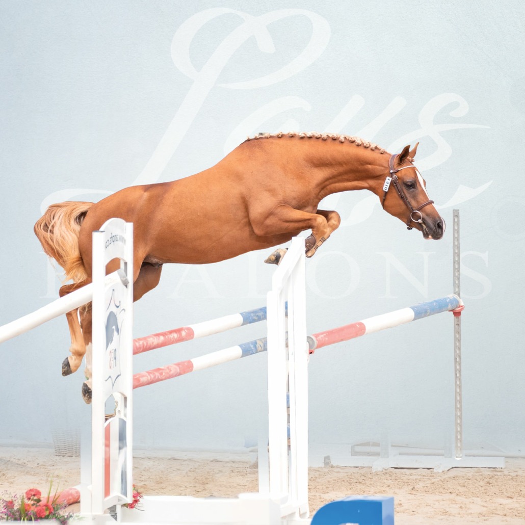 Magic Song d’Arezzo