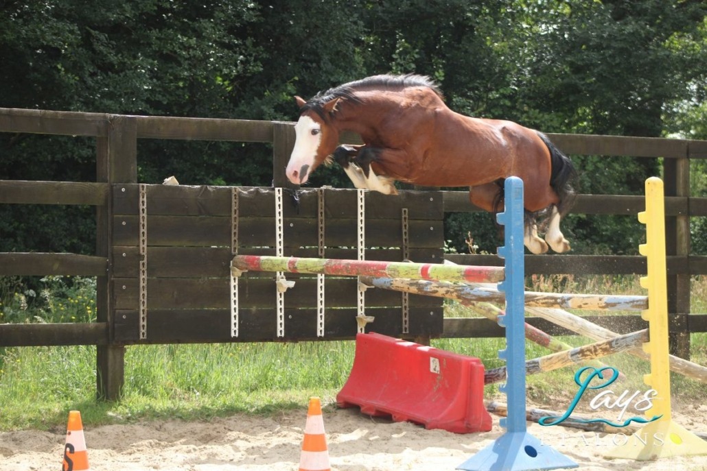 Malibu Coco des Star