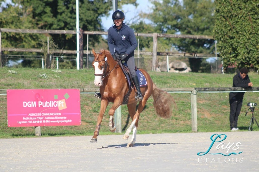 Milky Face d’Anguerny