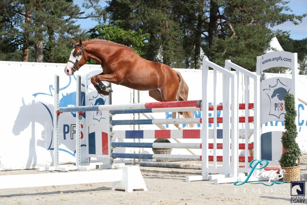 Milky Face d’Anguerny