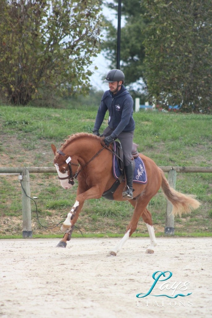 Milky Face d’Anguerny