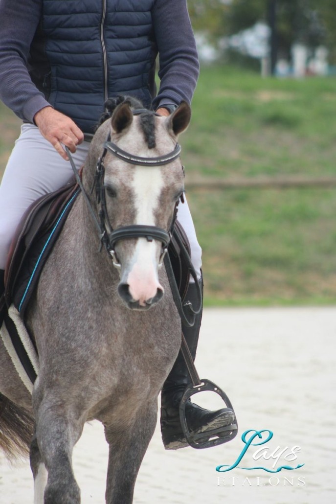 Monticello d’Argan