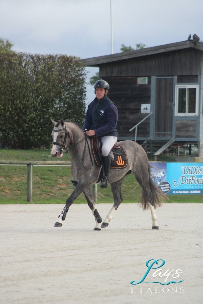 Monticello d’Argan