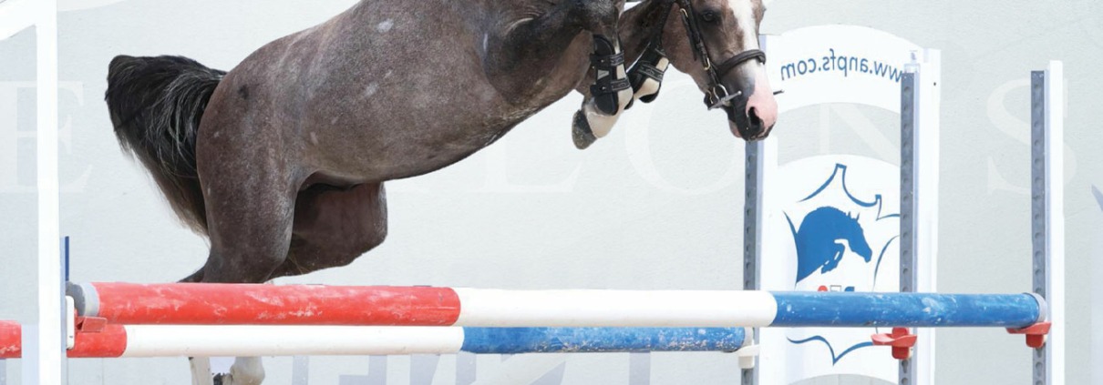 Monticello d’Argan