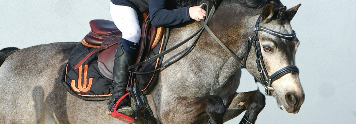 Vifdunbay de Liberty