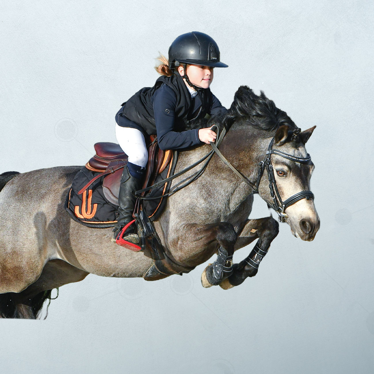 Vifdunbay de Liberty